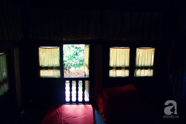 Cô gái người Tày bỏ phố thị phồn hoa về quê làm homestay du lịch 